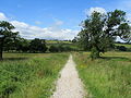 On the Burnley Way in Ightenhill. The footpath circles the borough.