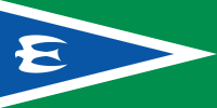 Civil Will Green Party flag