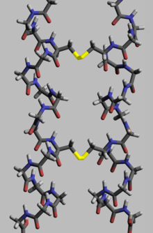 Disulfide bonds between two alpha-helix