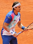 David Ferrer