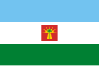 Flag of 巴里纳斯州 State