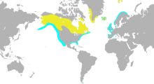 Gavia immer distribution.svg