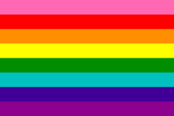 Original gay pride flag with eight bars. First displayed at 1978 San Francisco Gay Freedom Day Parade. Gay flag 8.svg