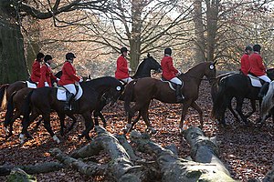 Picture from the traditional Hubertusjagt hors...