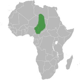Impero di Kanem-Bornu - Localizzazione