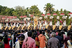 Caparisoned elephants during Kuzhur Sree Subramanya Swami Temple festival
