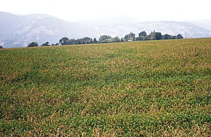 Tona (Osona), 17 d'octubre de 2001