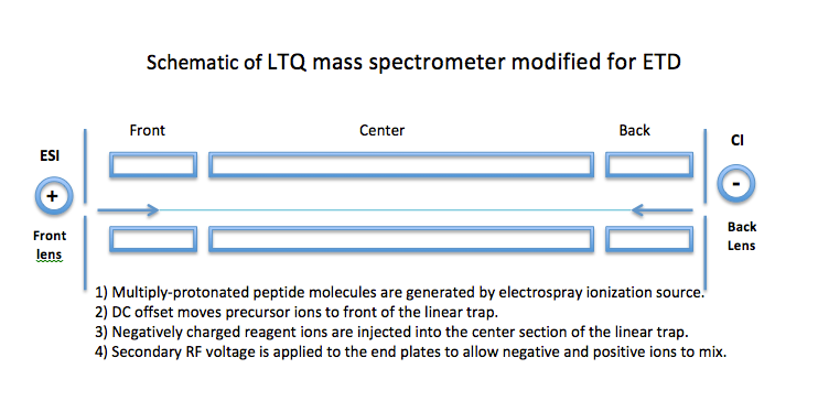 File:LTQ schematic.tiff