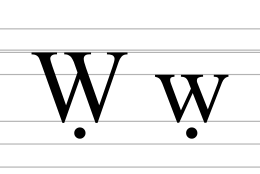 Image illustrative de l’article Ẉ