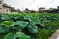 2017年8月7日 (月) 10:05時点における版のサムネイル