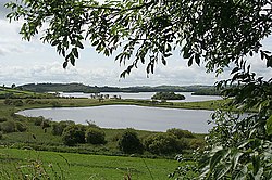 Lough Muckno Co.Monaghan Eire. - geograph.org.uk - 507755.jpg