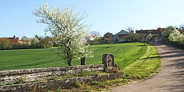 Ancien abreuvoir au pied du village sur la route de Recey-sur-Ource.