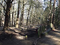 Milton Keynes Boundary Walk, Aspley Woods - geograph.org.uk - 373548.jpg