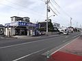 周囲にはシラスを売る店が多い