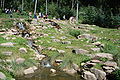 Cascade dans la Montagne des singes.