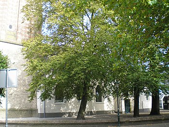 English: Restored Reformed Church in Houten, t...