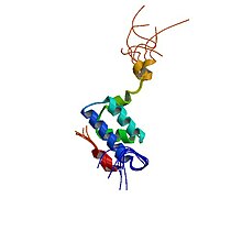 PBB Protein TOMM20 image.jpg