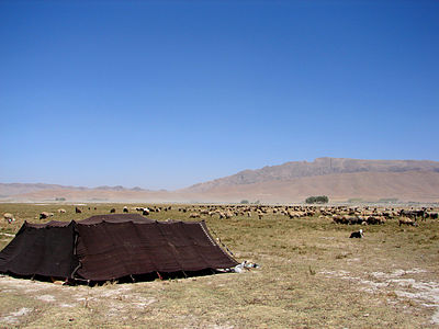 Stepa, ki meji na provinco Bakhtiari v Iranu.