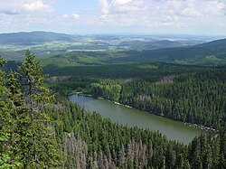 Plešné jezero od Stifterova památníku