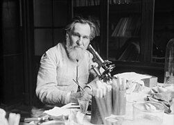 Professeur Metchnikoff, portrait du scientifique dans un laboratoire de recherche