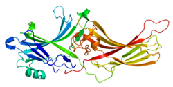 Протеин ARR3 PDB 1XEH.png
