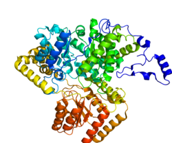 Протеин MUT PDB 2XIJ.png