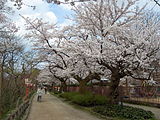 高岡城跡（高岡古城公園）