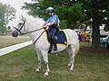 Prince William County Police Mounted Patrol