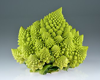 -{Romanesco broccoli}-