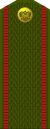 Russia-Army-OR-1-1994-field.svg