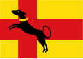 Drapeau de Ruurlo