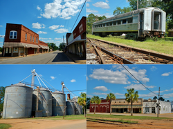 Skyline of Shellman