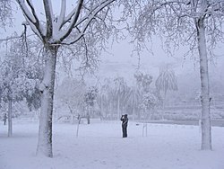 Neu al Parc de la Creueta del Coll