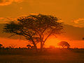 Восход солнца над национальным парком Матобо
