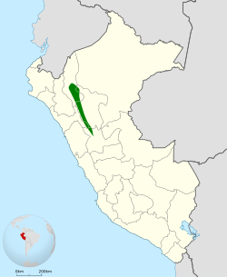 Distribución geográfica del colasuave dorsirrufo.