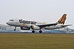 Miniatura para Tiger Airways