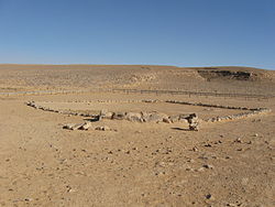 מראה כללי של המקדש: בקדמת התמונה האזור המקודש, וברקע האזור בו נראות דמויות הנמרים כשהוא מוקף בגדר מלבנית נמוכה