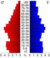 Bevolkingspiramide De Witt County