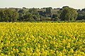 Vlaamse Ardennenlandschap in Zottegem