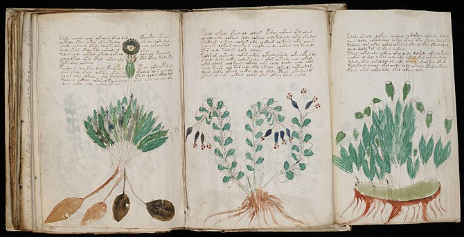 A page from the mysterious Voynich manuscript,...