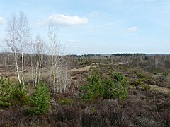 Vue depuis le belvédère.