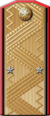 Генерал-лейтенант морской артиллерии