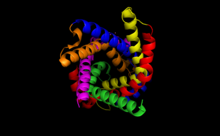 ATP-ADP Translocase Top View.png