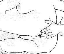 A man anally fingering another man Anal fingering (partnered).jpg