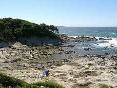 夕日の丘から見た海岸