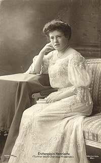 Arcivévodkyně Marie Jindřiška