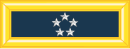 183px-Army-USA-OF-10.svg.png