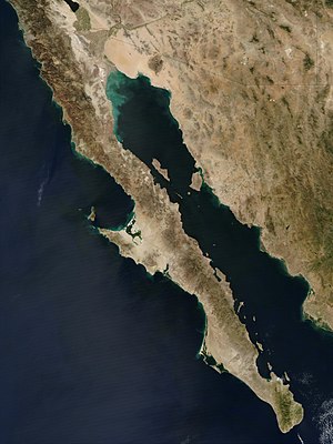 The road runs the entire length of the Baja Ca...