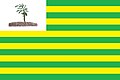 Bandeira de Brejo do Piauí