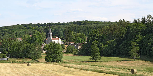 Prairies dans le val du Brévon en aval de Beaulieu. Derrière le lieu-dit sur-la-Douix et la colline du Plain (396 m).